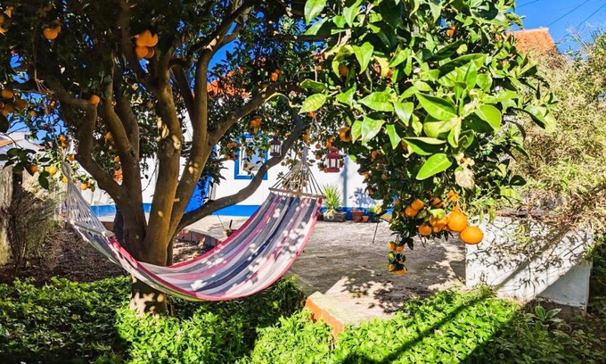 Sobral House | Beachside 3 BR Retreat - Pet & Child Friendly Getaway