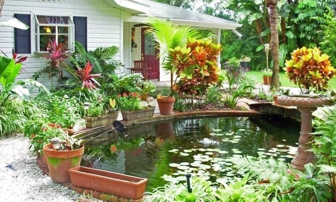 Dunedin Cottage | Inviting Ocean View Cottage with Pool & Spa Amenities