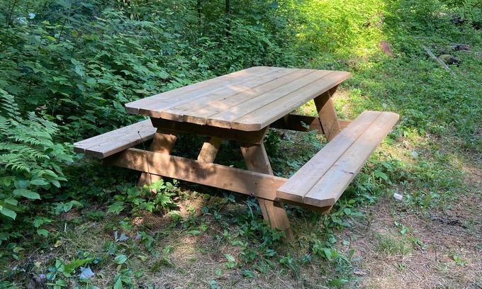 Lake of Bays Cabin | Charming Bunkie with Ocean View, Pet Friendly for Two!