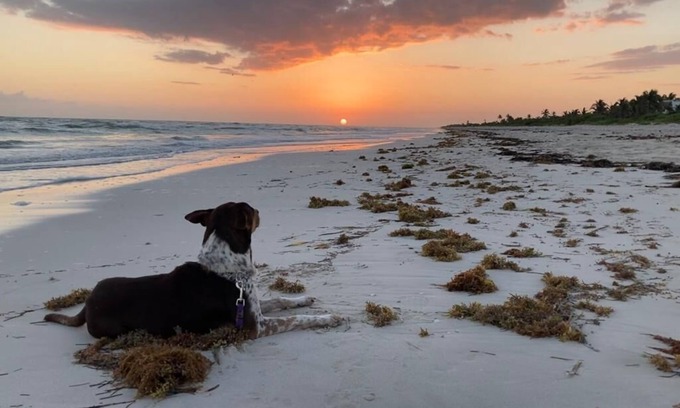 El Cuyo Cabin | Charming Beachside Cabaña Just 5 Minutes from El Cuyo