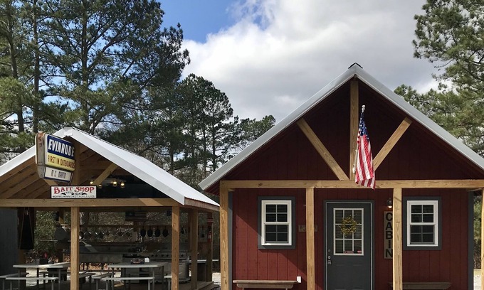 Townville Cabin | Lake View Getaway near Hartwell: Top-Rated Family Retreat