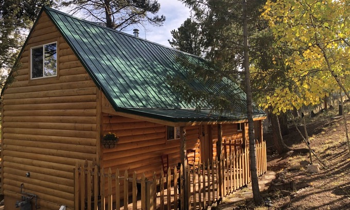 Florissant Cabin | Inviting Cabin D Surrounded by Nature - Pet Friendly Retreat