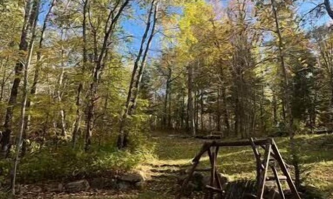 Backus Cabin | Inviting Cabin Retreat in Backus, MN with Spa & Kitchen