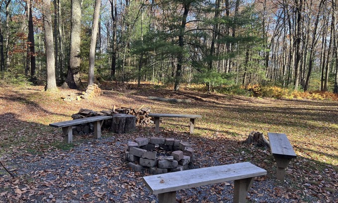 Lock Haven Cabin | Inviting Cabin in the Heart of Big Woods with Breakfast