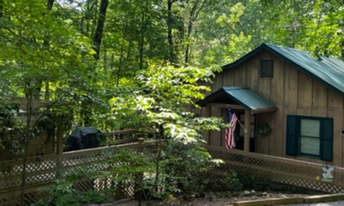Blue Ridge Cabin | Charming Cabin Retreat near Downtown Blue Ridge - Pet Friendly!