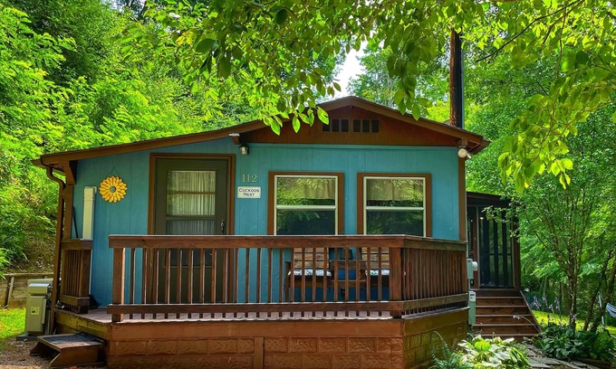 Mars Hill Cabin | Cozy Cabin Retreat: Pet-Friendly with High-Speed Internet