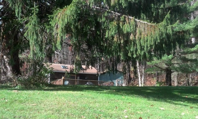 Shandaken Cabin | Inviting Cabin with Spacious Deck and Pet-Friendly Amenities