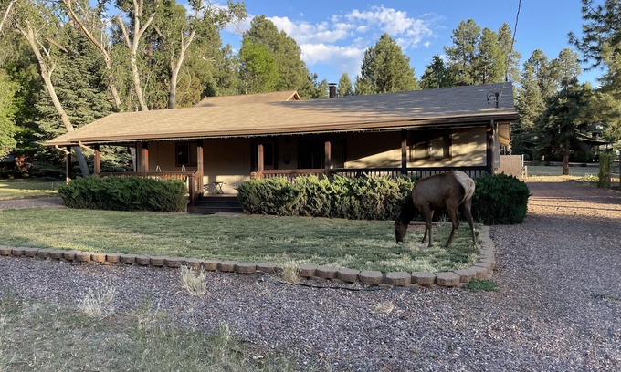 Strawberry House | Comfortable House in the Pines with Breakfast Included
