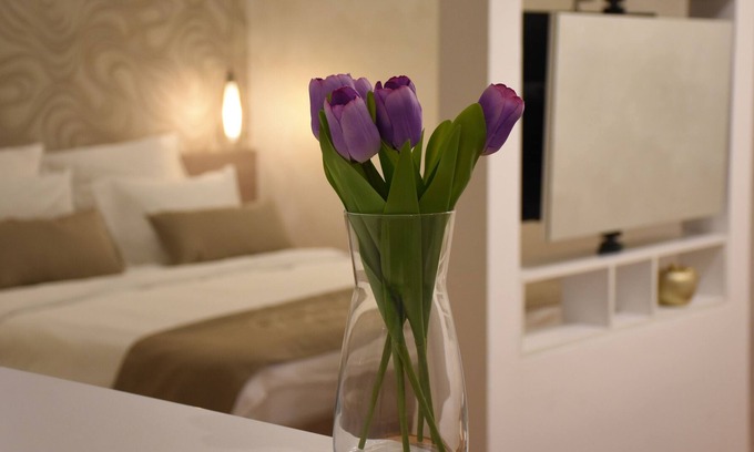 Slavija Apartment | Cozy, clean, charming, new apartment in the city center of Belgrade