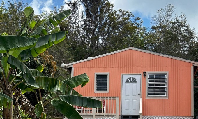 Estate Susannaberg Cottage | Charming Conch Shell Cottage Retreat with Ocean View & Pool