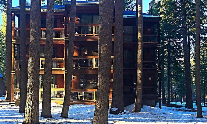 Truckee Apartment | Pet-Friendly Condo Near Village in Serene Forest Retreat