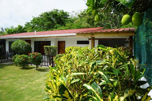 Punta Sur House | Guest Rated 10/10 - Cozy Cottage with Pool and Kitchen