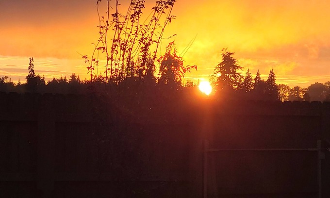 Sequim Apartment | Relax at Wise Old Owl Garden Retreat Cottage with Pool & Breakfast