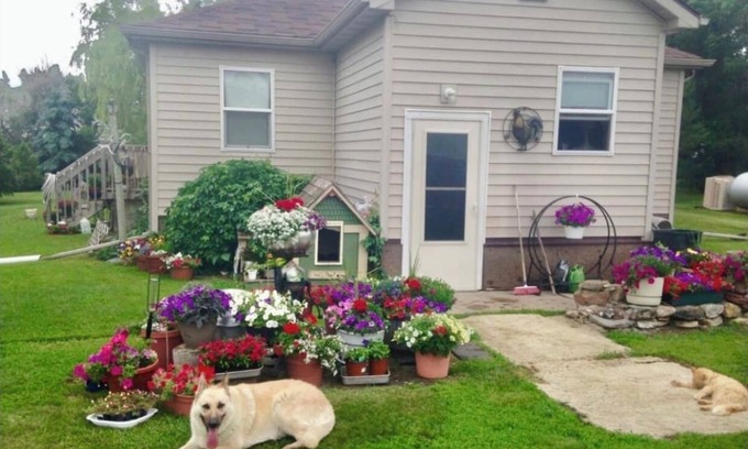 Pierce County House | Premier Country Escape with 5 Acres and Top Reviews