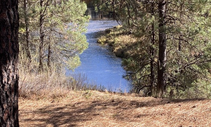 Garden Valley Cabin | Tranquil Garden Valley Cabin with River & Ocean Views