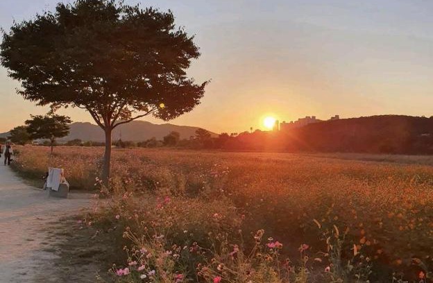 Igok-dong Apartment | Relaxing Retreat at Cozy House – Child-Friendly Stay