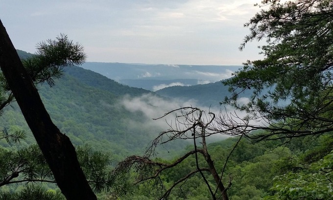 Sequatchie Cabin | Inviting Retreat in the Woods: Perfect for Adventure and Relaxation