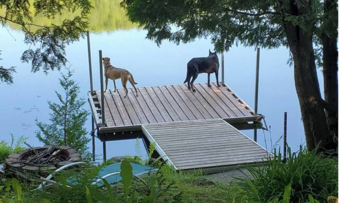 Amherst House | Serene Lakefront Cottage - Perfect Family Getaway Near Tremblant