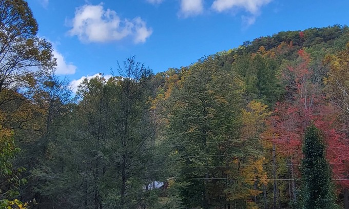 Canton Cabin | Inviting Log Cabin Retreat in Waynesville with Hot Tub
