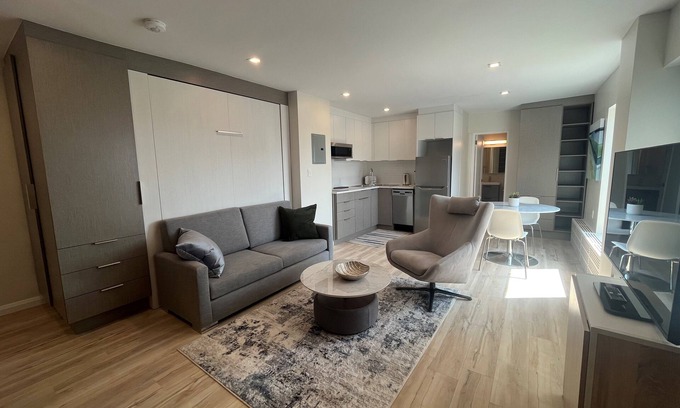 Golden Triangle Apartment | Cozy Modern Centretown Ottawa Studio Near U of O, Restaurants, and Amenities