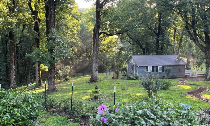 Jasper Cabin | Inviting Mountain Cabin on Animal Sanctuary with Spa & Pool