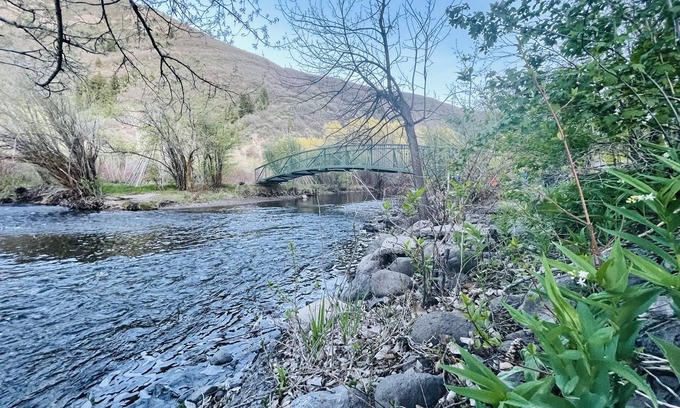 Carterville Cabin | Cozy Mountain Cabin on the River