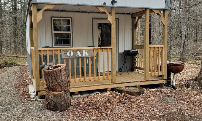 Goodman Cabin | Inviting Northwoods Mini Cabin with Hot Tub & ATV Trails
