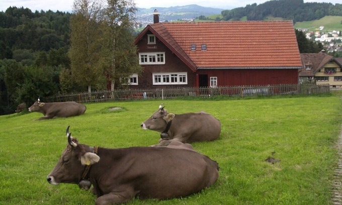 Rehetobel House | Inviting Appenzeller Farmhouse with Ocean View & Spa