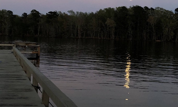 Summerton House | Tranquil 3-Bed Retreat with Pool and Lake Views