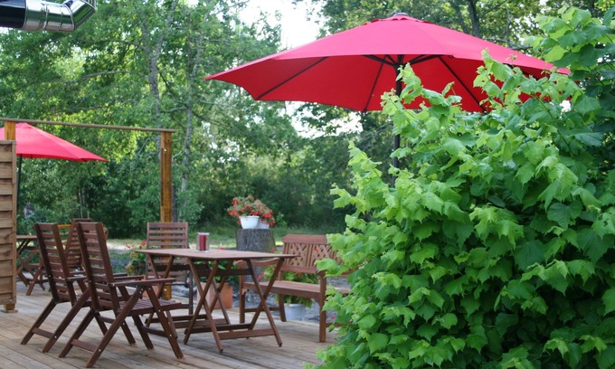 Brach Apartment | Serene Forest Apartment with Pool and Pet-Friendly Amenities