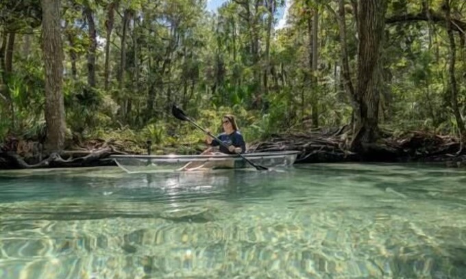 Chassahowitzka Cabin | Charming River Cabin with Kitchen and Pet-Friendly Amenities