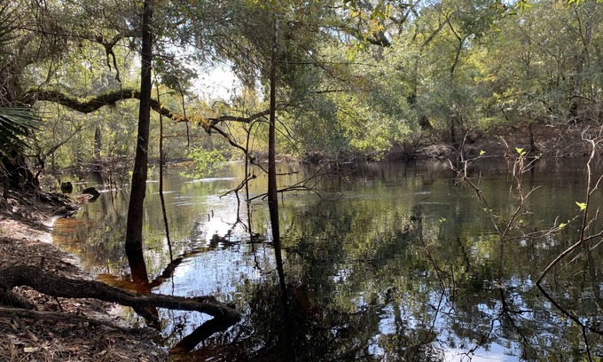 Webster House | Idyllic Riverfront Escape with Pet-Friendly Amenities