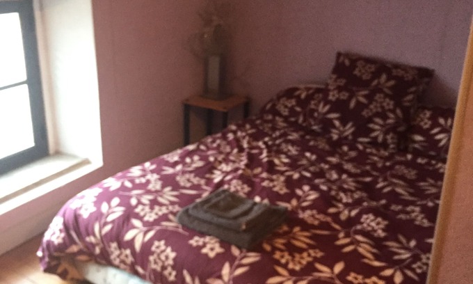 Fericy House | Pet-Friendly Cozy Homestay with Kitchen & Great Reviews