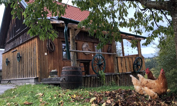 Langschlag House | Rustic Vacation Home with Lake View & Pool - Rated 10/10