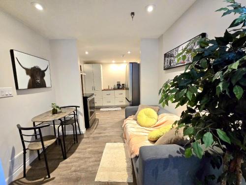 Cambridge Apartment | Cozy,spacious basement suite in Cambridge near 401