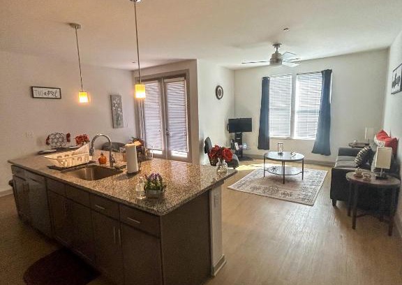 Shockoe Bottom Apartment | Pet-Friendly Downtown Richmond Gem Near VCU - 10/10 Rated