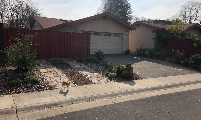 Davis Apartment | Pet-Friendly Studio in Davis with Spa and Pool Access