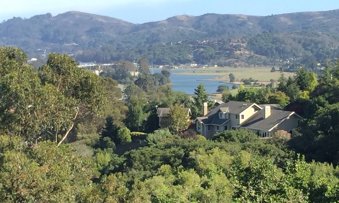 Mill Valley Apartment | Charming Mill Valley Studio with Spa and Breakfast Delights
