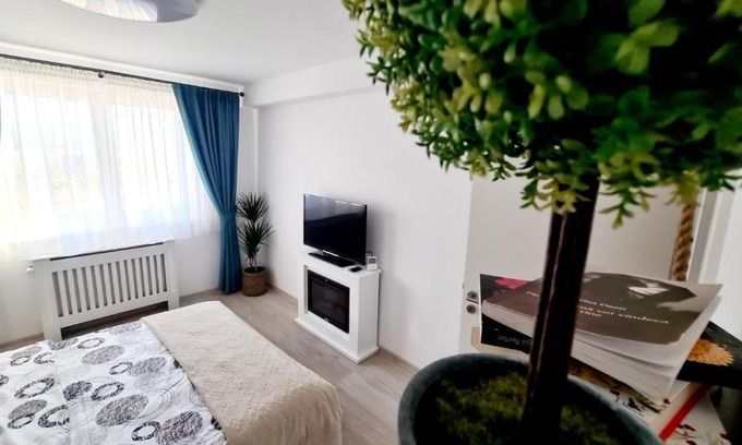 Tractorul Apartment | Guest Rated 10/10: Cozy Studio for Families & Pets