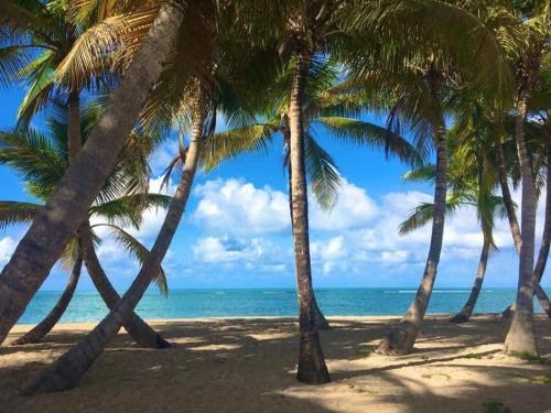 Zarzal Apartment | Inviting Suite at Coco Beach - Family-Friendly Getaway