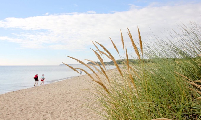 Gross Zicker Apartment | Seaside Retreat: Pet-Friendly Apartment with Balcony View