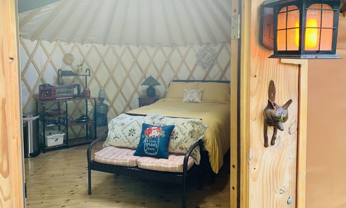 Homer House | Cozy view yurt nestled in alder grove