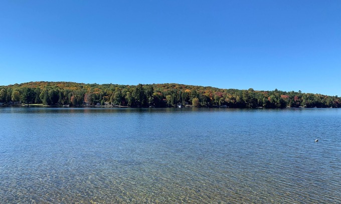 Minden Cottage | Inviting Cottage with Lake Views and Pet-Friendly Vibes
