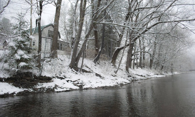 Driftwood Cabin | Scenic Creek-Side Retreat in the Pennsylvania Elk Range