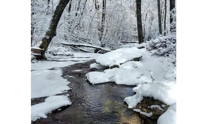 Beech Mountain House | Creekside Retreat: 10/10 Rating, Steps from the Slopes