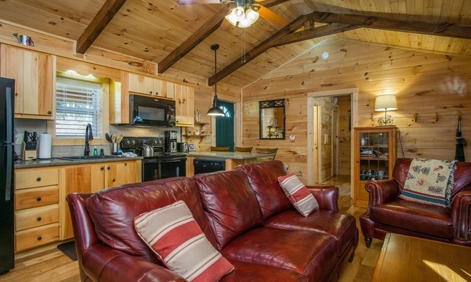 Pisgah Forest House | Creekside Log Cabin: Perfect for Families and Pets