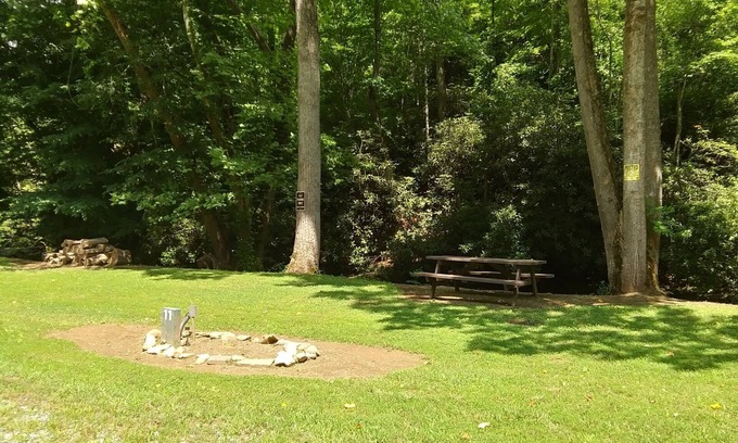 Murphy RV Rental | Tranquil Creekside Retreat with RV Site & Pet-Friendly Stay
