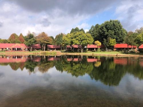 Dullstroom Cabin | Relax at Critchley Hackle Lodge with Pool & Spa Amenities