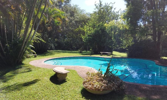 Alkmaar Bed & Breakfast | Budget-Friendly Crocodile Nest B&B with Pool & Kitchen