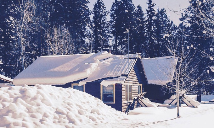 Bayfield Cabin | Discover Croll Cabins: Pet-Friendly Bunkhouse at Vallecito Lake